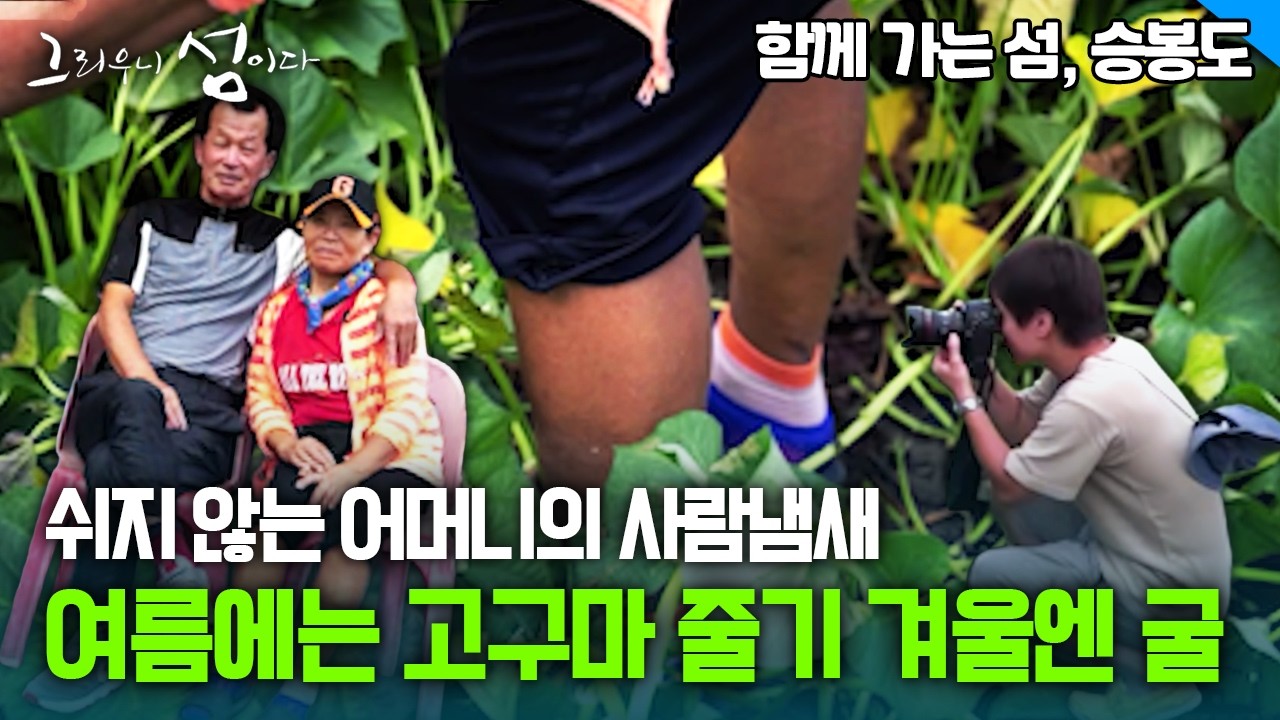 쉬지 않는 어머니의 사람냄새 여름에는 고구마 줄기 겨울엔 굴 [그리우니 섬이다]