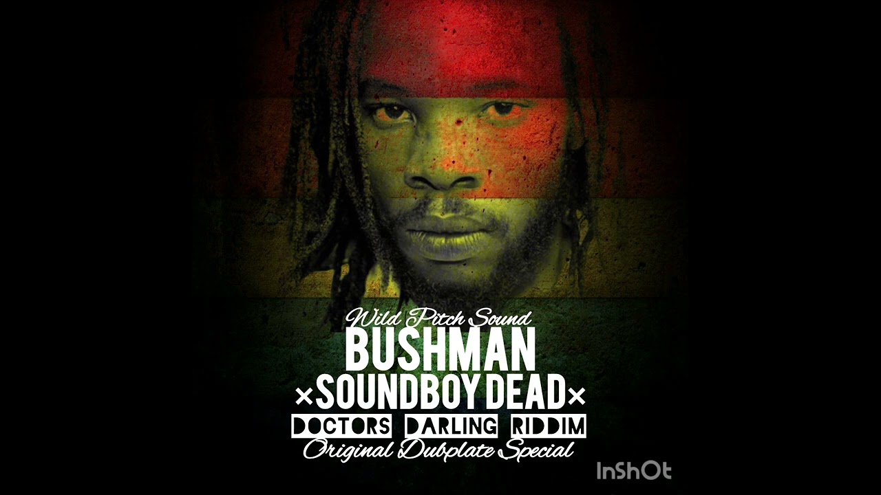 Bushman  - Soundboy Dead (Doctors Darling Riddim) Dubplate Special by Wild Pitch Sound