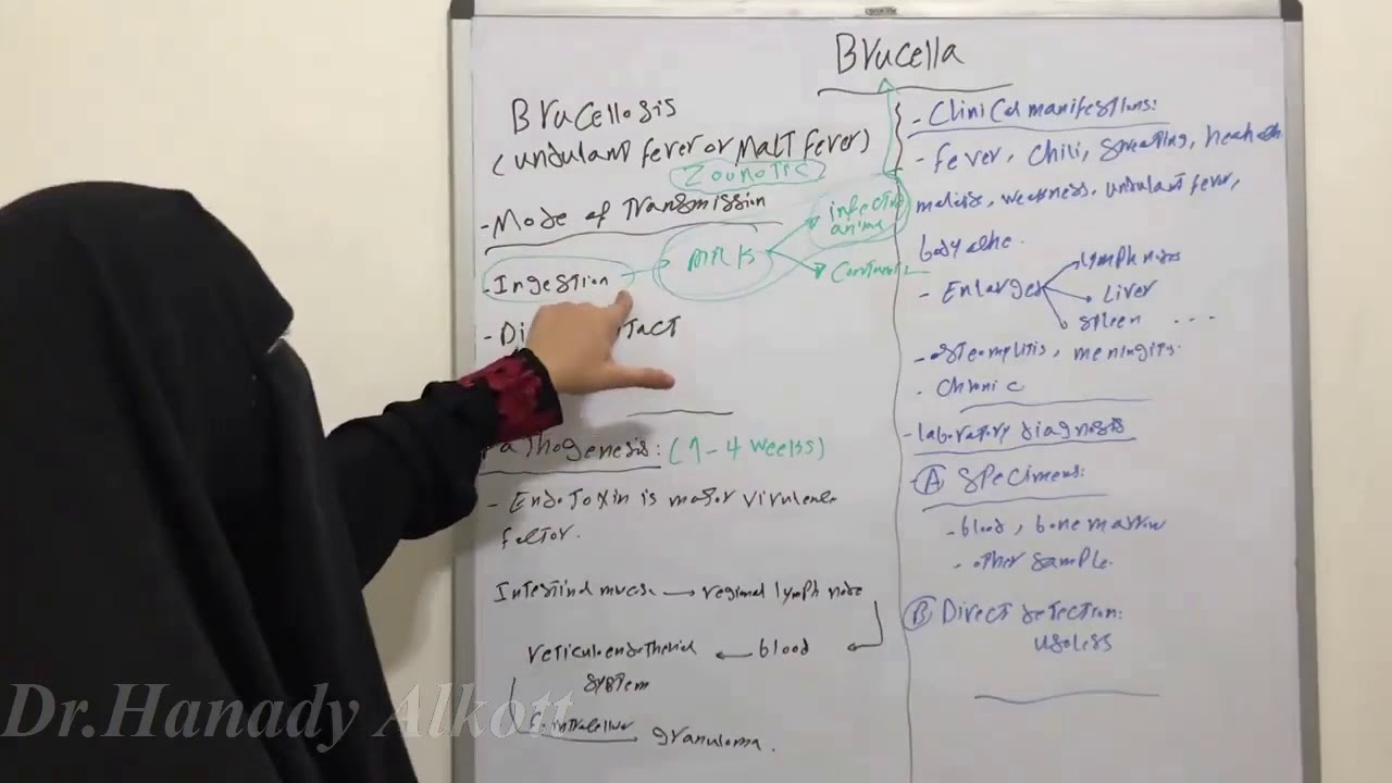 🐏🐄Brucellosis {Undulant fever or Malta fever} (Brucella Part 2)