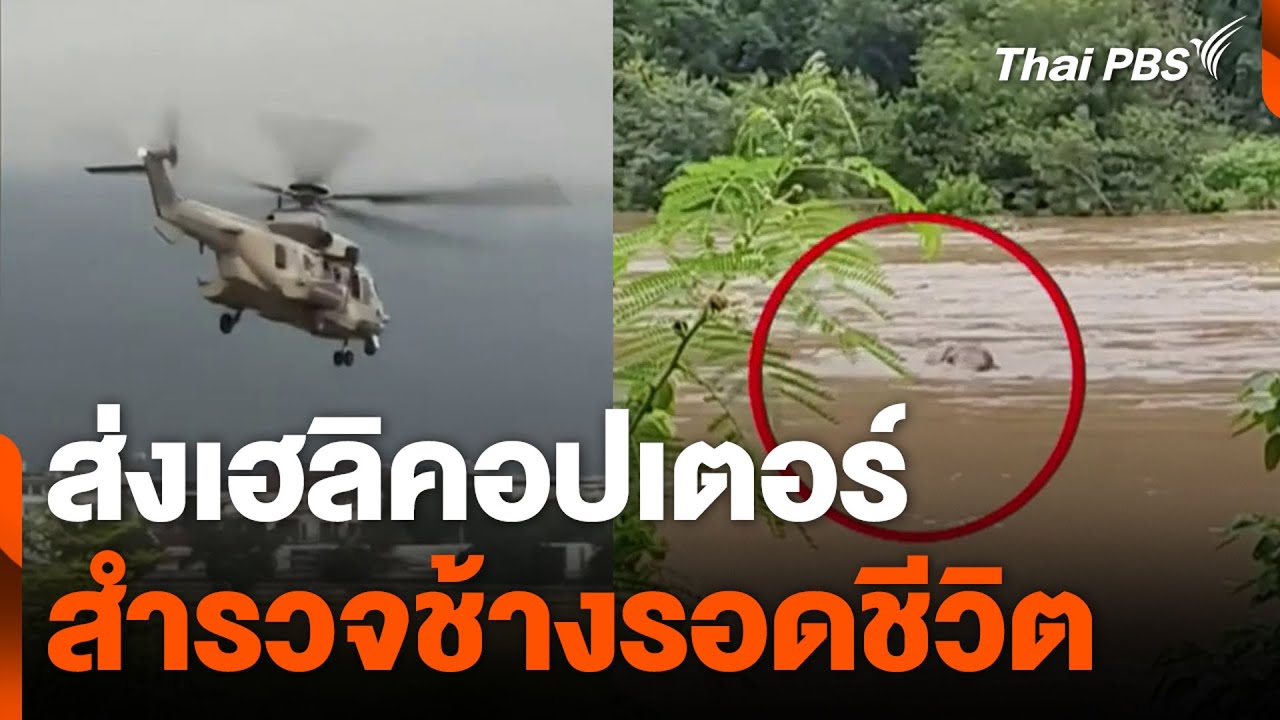 ส่งเฮลิคอปเตอร์ สำรวจช้างรอดชีวิต | ข่าวเที่ยง | 5 ต.ค. 67