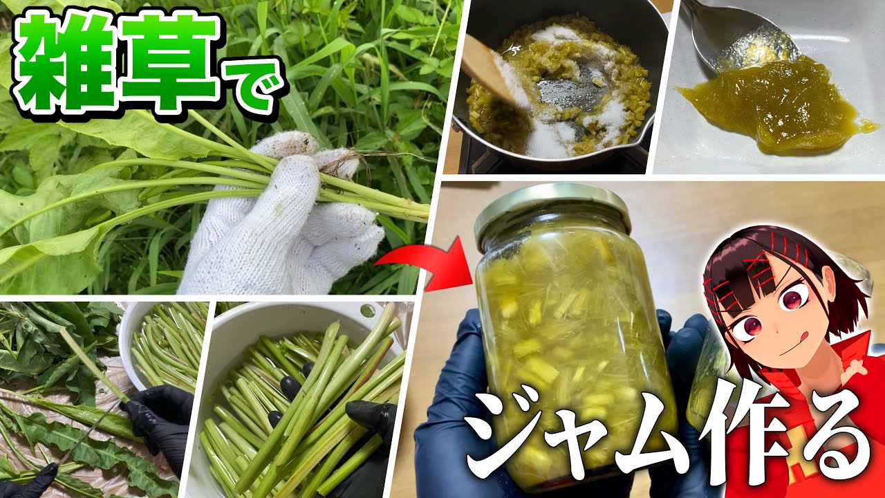 雑草の葉っぱを集めてジャム作ってみた【ギシギシ】【ルバーブジャム】