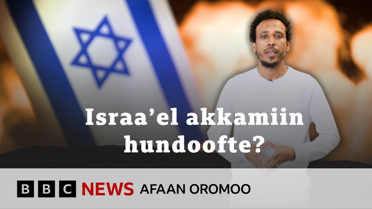 Warri Yihuudotaa akkamiin biyya ijaarratan? | BBC News Afaan Oromoo