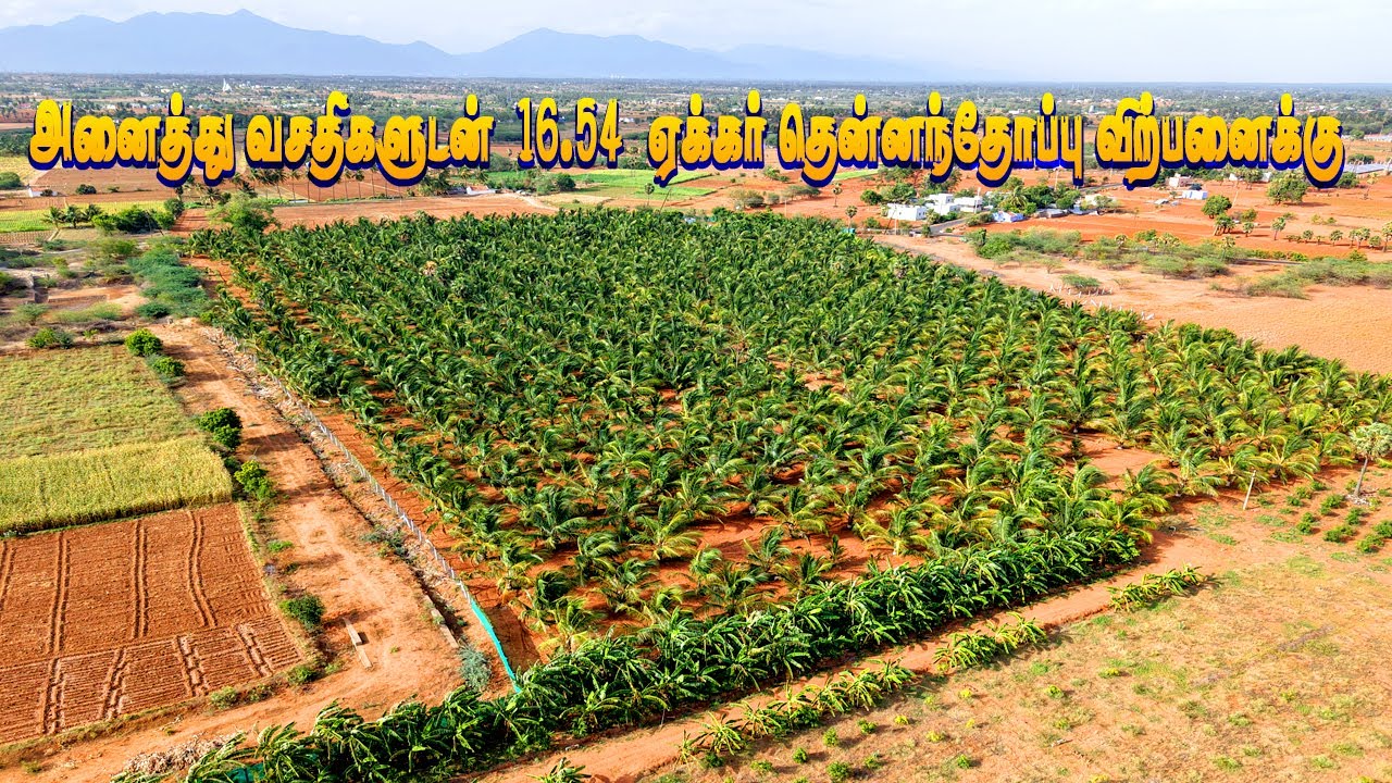 🏘️16.50 ஏக்கரில் வருமானம் தரக்கூடிய பண்ணை நிலம் விற்பனைக்கு | Investment Farm Land in Coimbatore