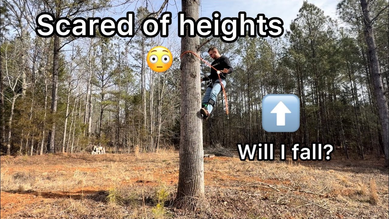 Tree Climbing Gear vs Fear of Heights (This actually works)