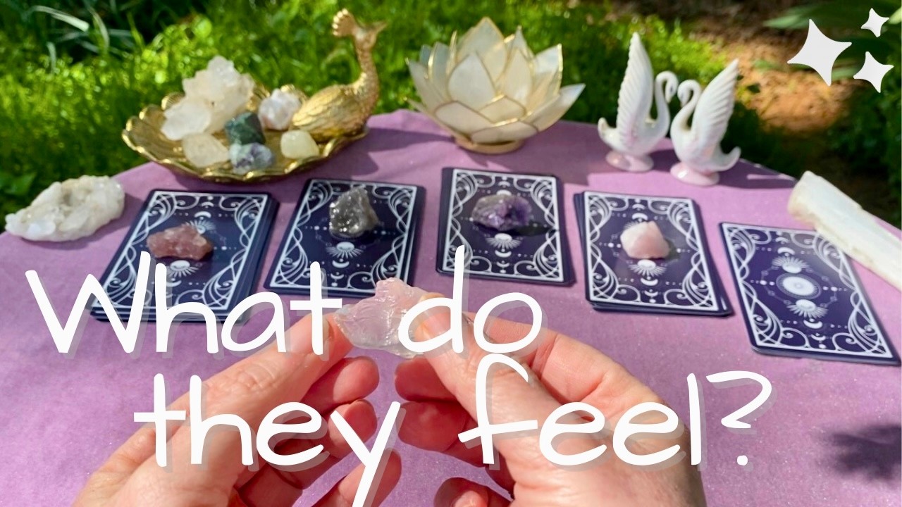 💖 Their Current Thoughts & Feelings ✨ Pick a Card Reading ✨ Timeless