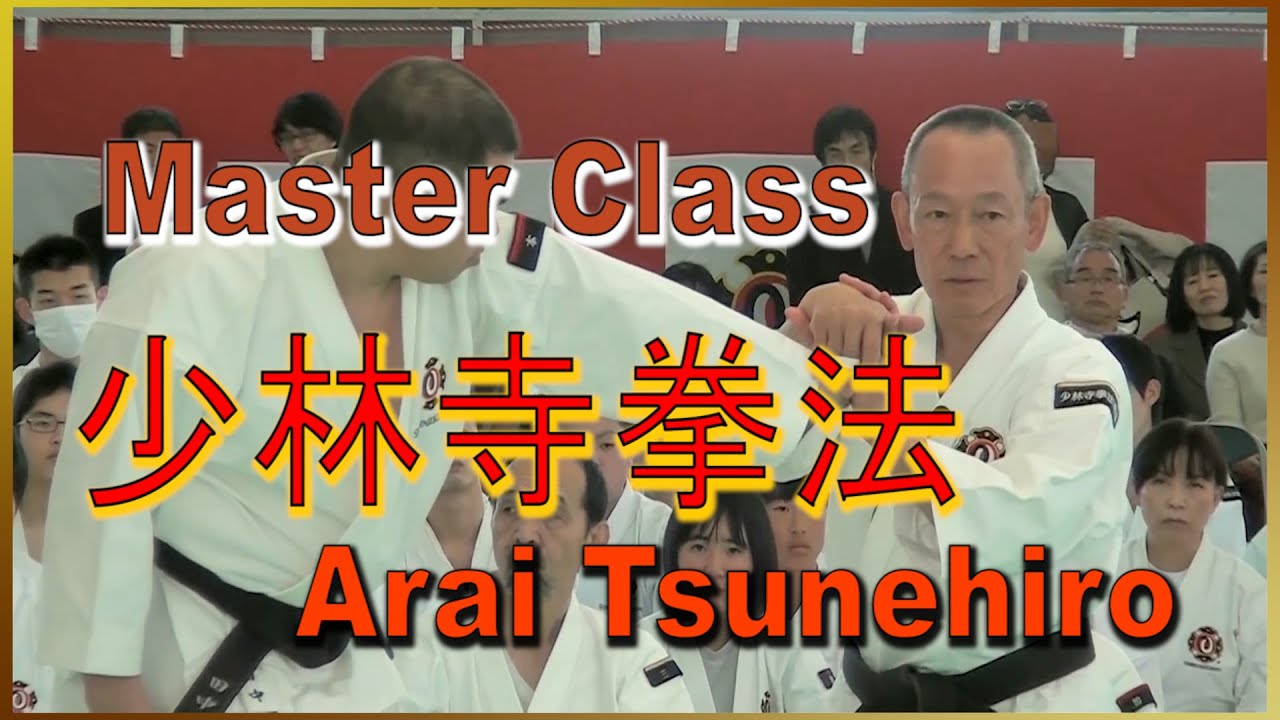Secrets techniques self-defense Shorinji Kempo. GOHO-JUHO. Sensei Arai Tsunehiro.  少林寺拳法 技. 武道少林寺拳法