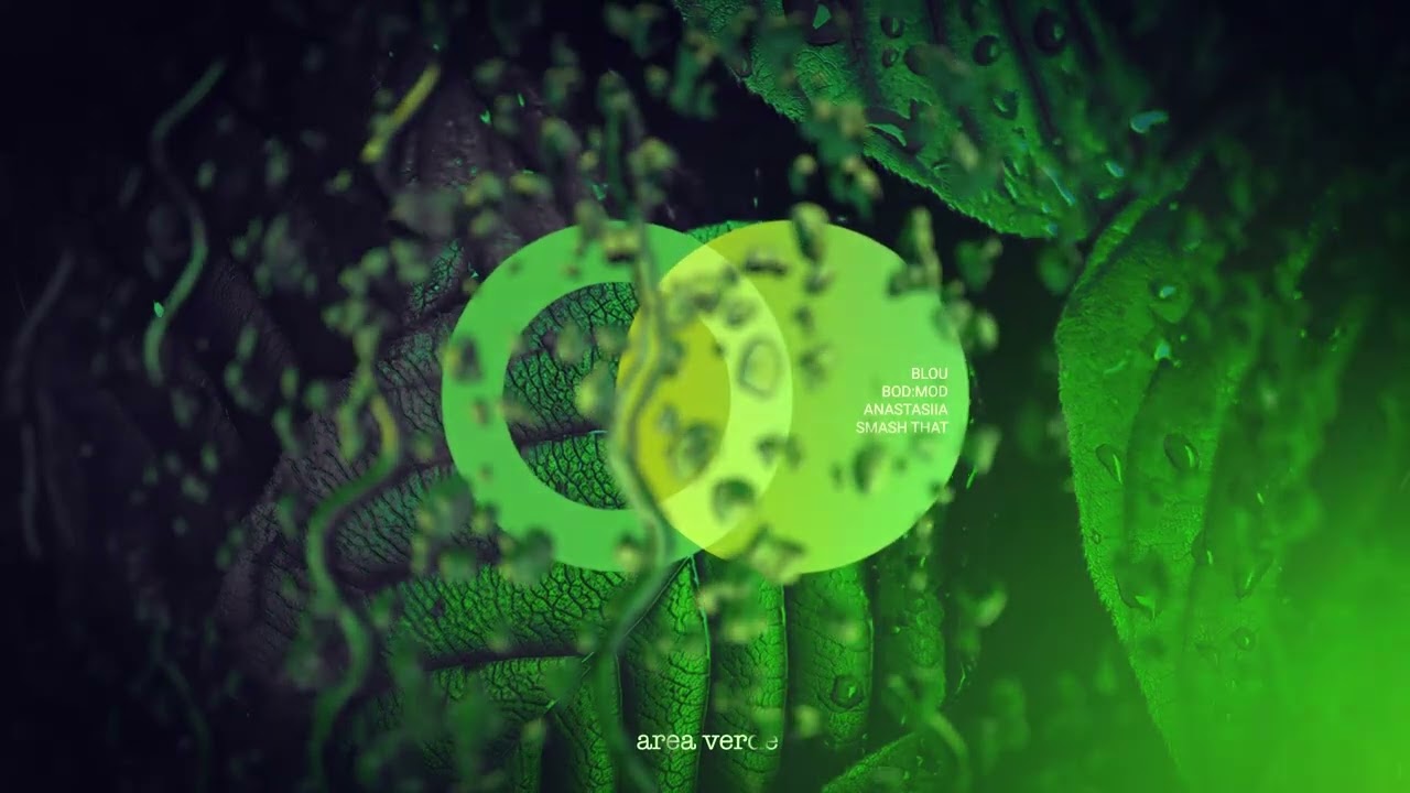 blou., bod:mod, ANASTASiiA - Smash That // AREA VERDE