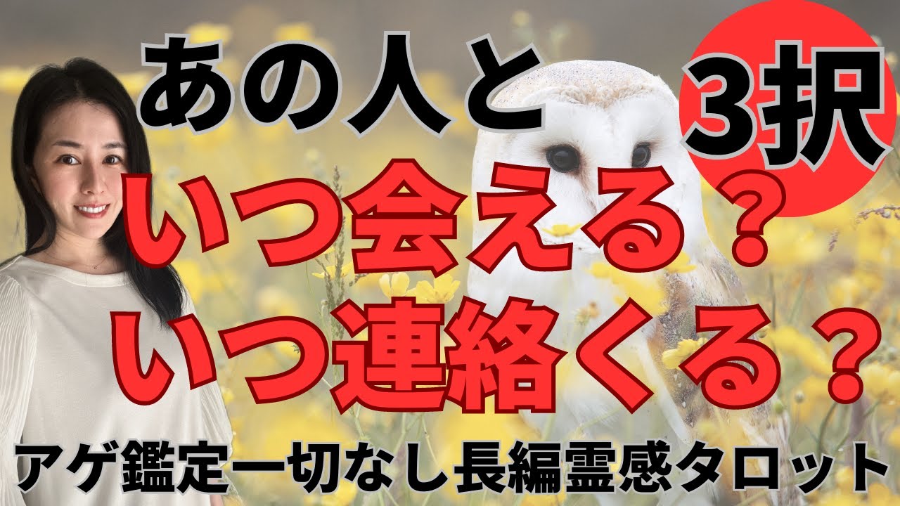 【見た時がタイミング🔔】いつ会える❓いつ連絡くる❓2人の今後🌈ツインレイ/ソウルメイト/運命の相手/複雑恋愛/曖昧な関係/復縁/片思い/音信不通/ブロック解除/恋愛/結婚/占い/リーディング/霊視