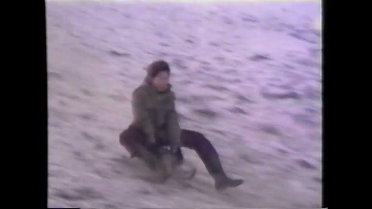 Winterbeelden 1981
