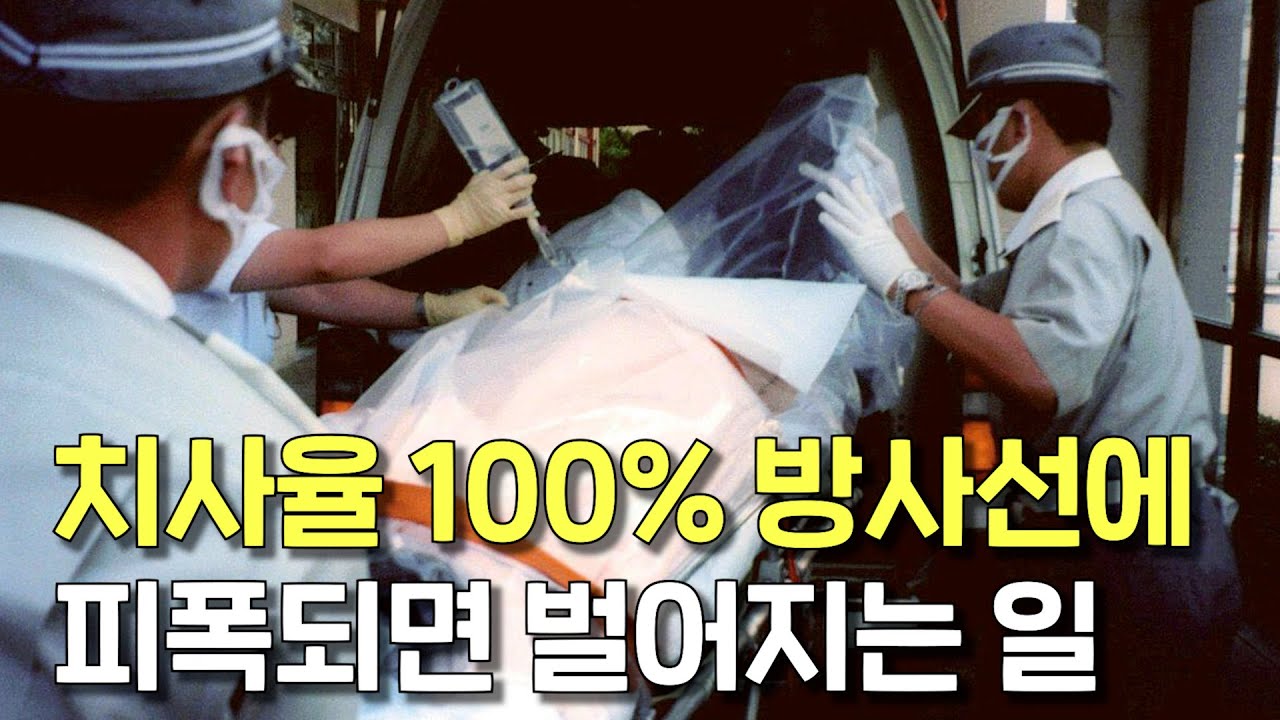일본을 충격에 빠뜨린 치사율 100% 방사선, 도카이촌 임계 사고