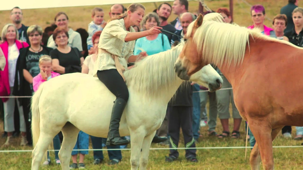 XI. Jurtanapok - 2015. június 26.-28.