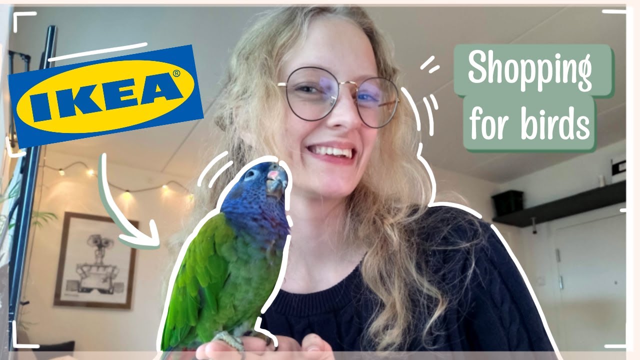 В IKEA можно купить товары, которые используются в качестве принадлежностей для птиц.