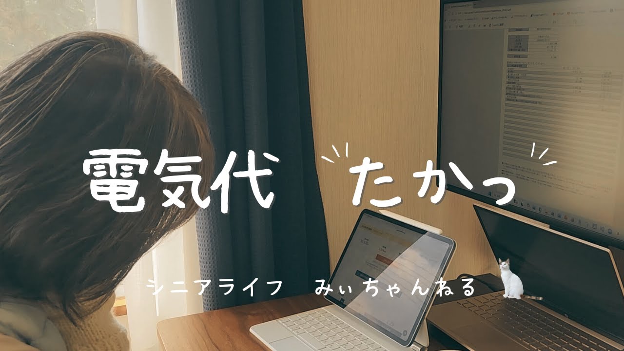 【Vlog】60代 電気代見直し