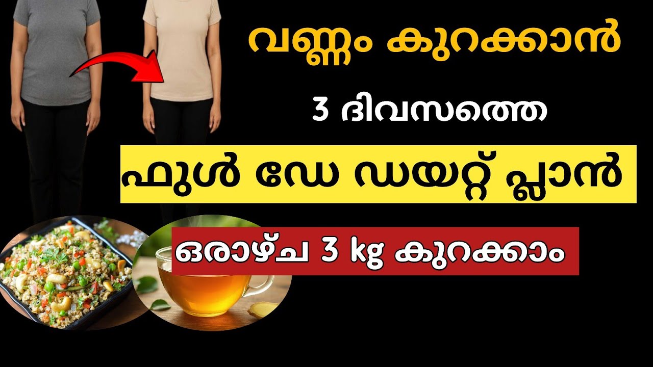 3 ദിവസത്തെ Full Day ഡയറ്റ് പ്ലാൻ weight loss diet malayalam വീട്ടിലെ ഭക്ഷണം മതി വണ്ണം കുറക്കാം