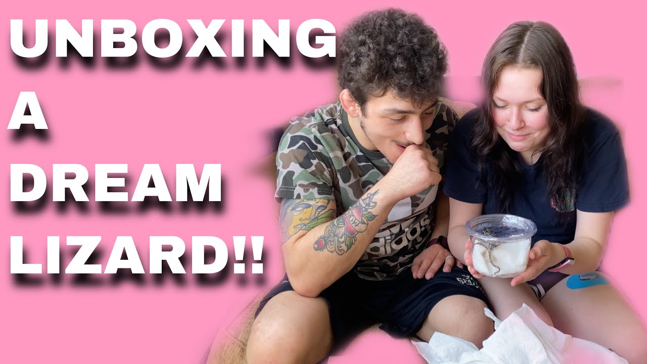 Reptile Unboxing: Panther Chameleon!!!