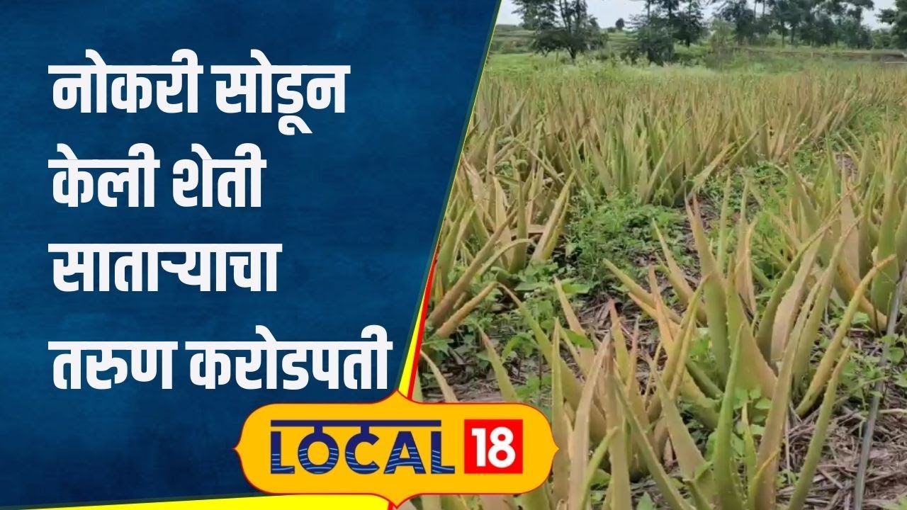 Aloe vera Farming: नोकरी सोडली, दुसऱ्यांनी फेकलीली कोरफड लावली; सातारचा तरुण कोट्यधीश | #local18