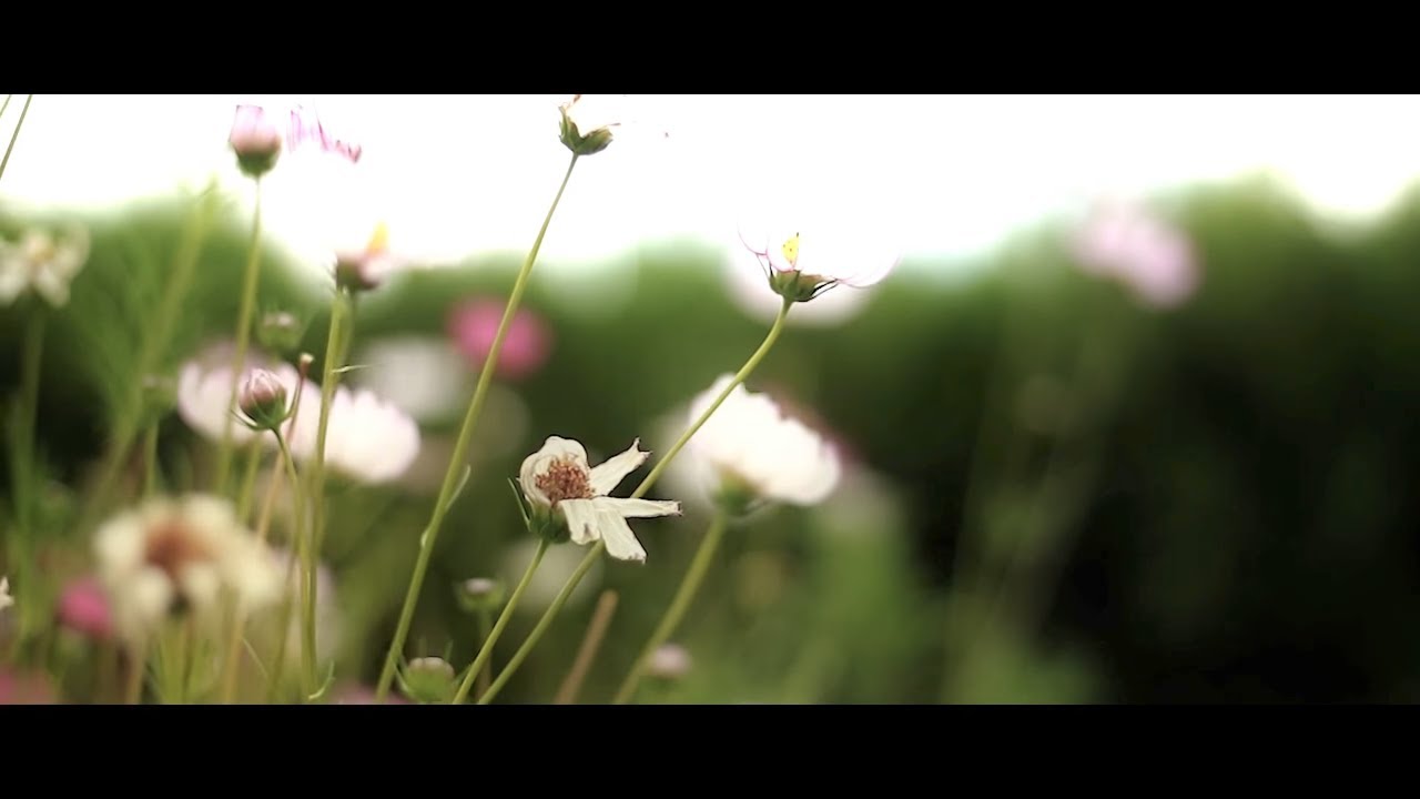 Documentaire Desireless 