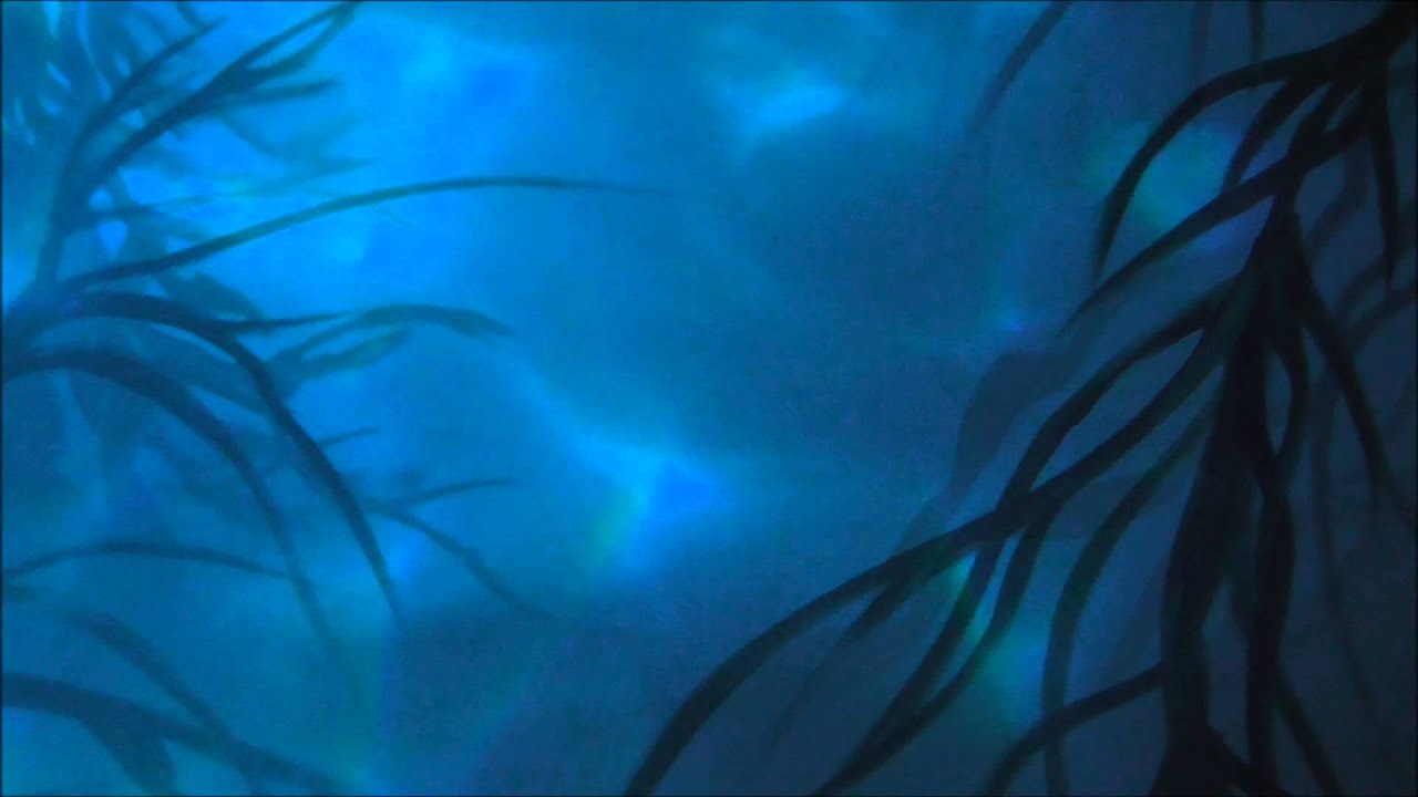 Deva Premal - Yemaya Assessu