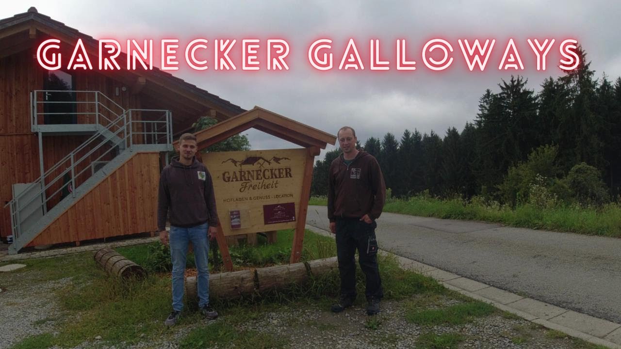 Garteden zu Besuch | Garnecker Galloways