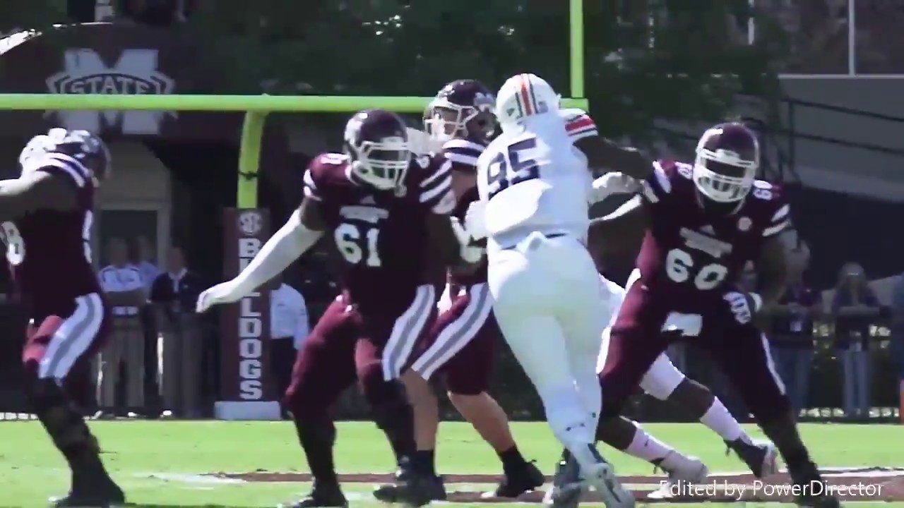 Auburn Tigers 