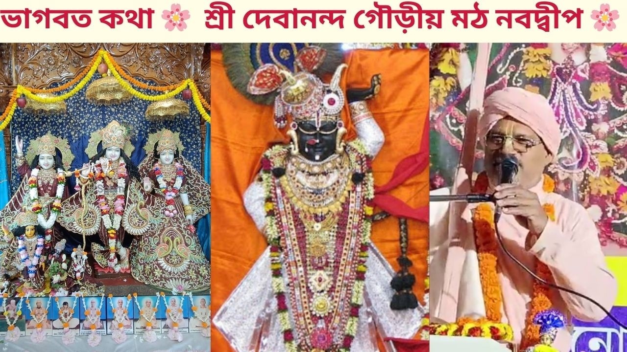 ভাগবত কথা 🌸 নামসংকীর্তন 🌸 হরিকথা 🌸 শ্রী দেবানন্দ গৌড়ীয় মঠ নবদ্বীপ 🌸 #harikatha #naamsankirtan