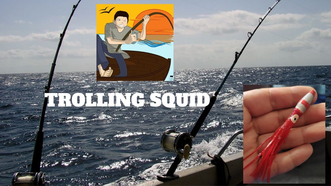 TRAINA COSTIERA IL MIO NUOVO ARTIFICIALE IL TROLLING SQUID 10 GR , CONSIGLI E TANTO ALTRO!!!