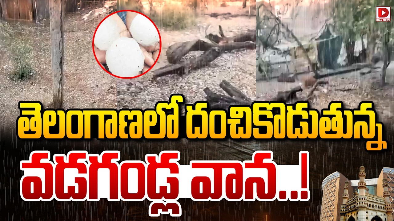 LIVE : తెలంగాణలో దంచికొడుతున్న వడగండ్ల వాన..! Heavy HailStorm In Telanagana | Dial News