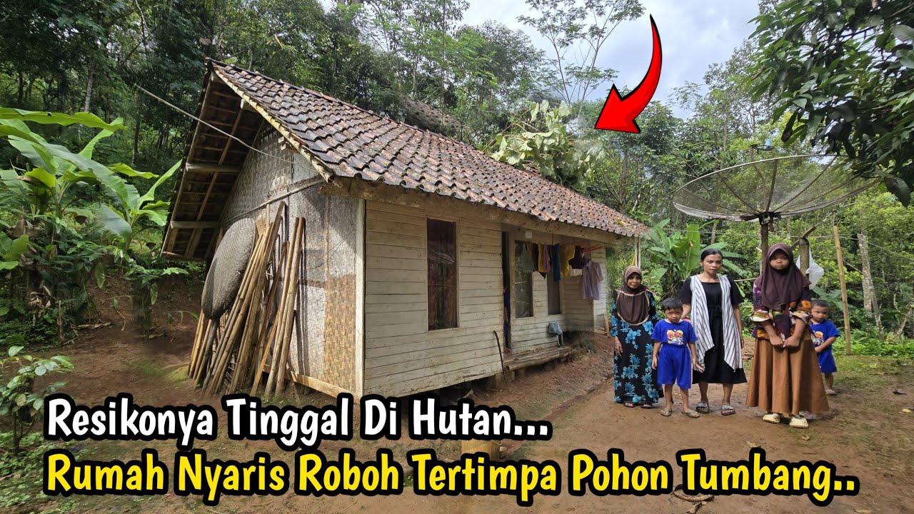 SUBHANALLAH😭 RUMAH NYA NYARIS ROBOH BEGINILAH RESIKO NYA KALO TINGGAL DI HUTAN 