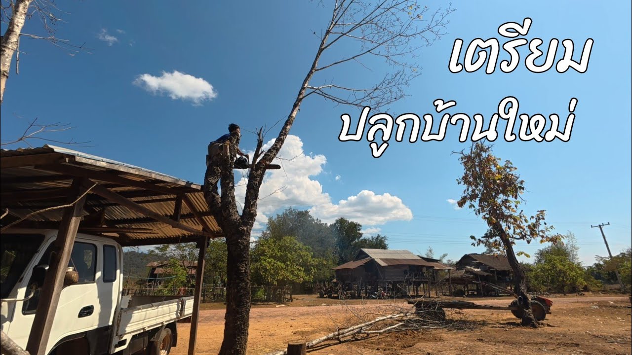 ตัดต้นไม้เตรียมปลูกบ้าน//พรานจิต คนหากิน//