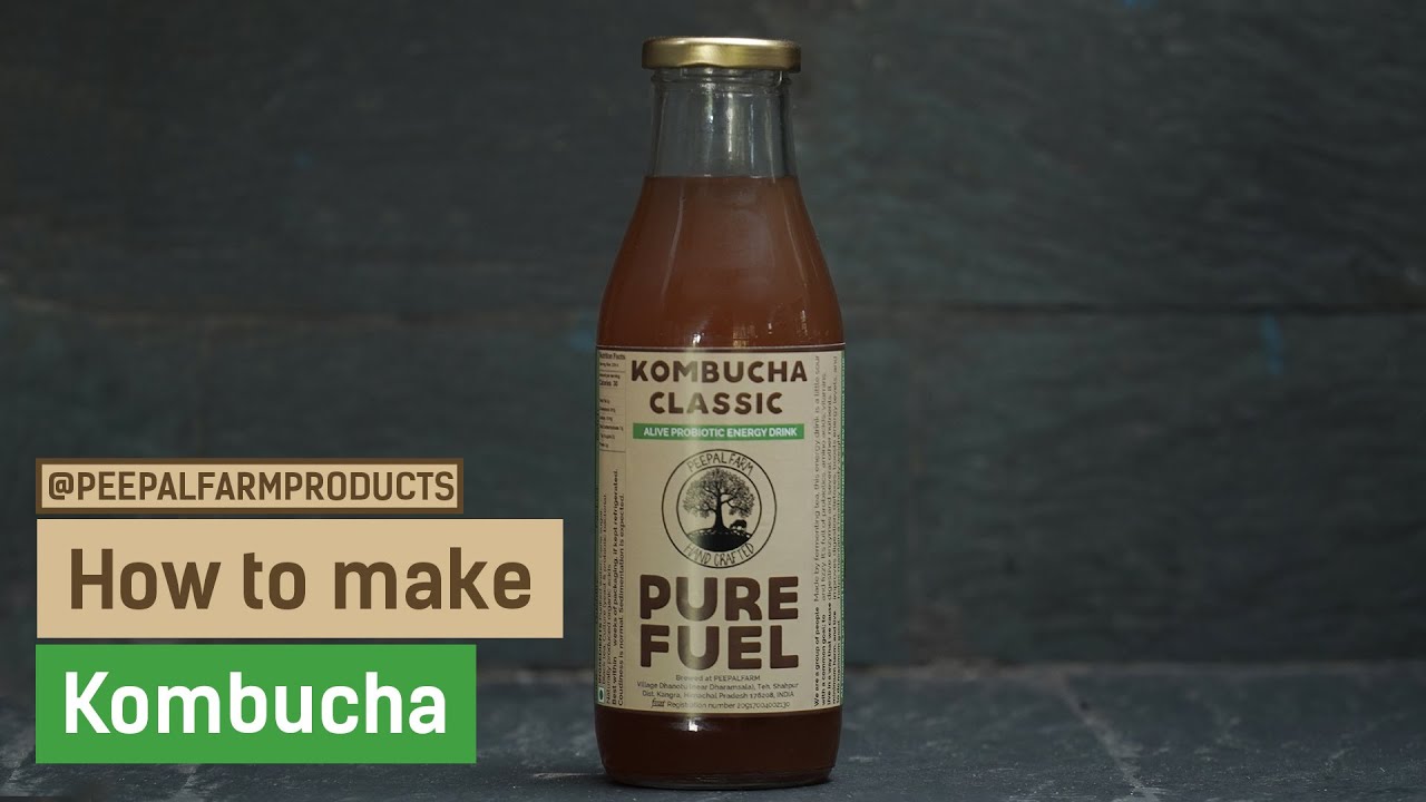 How to Make Kombucha | Kombucha Recipe | Healthy Probiotic Drink