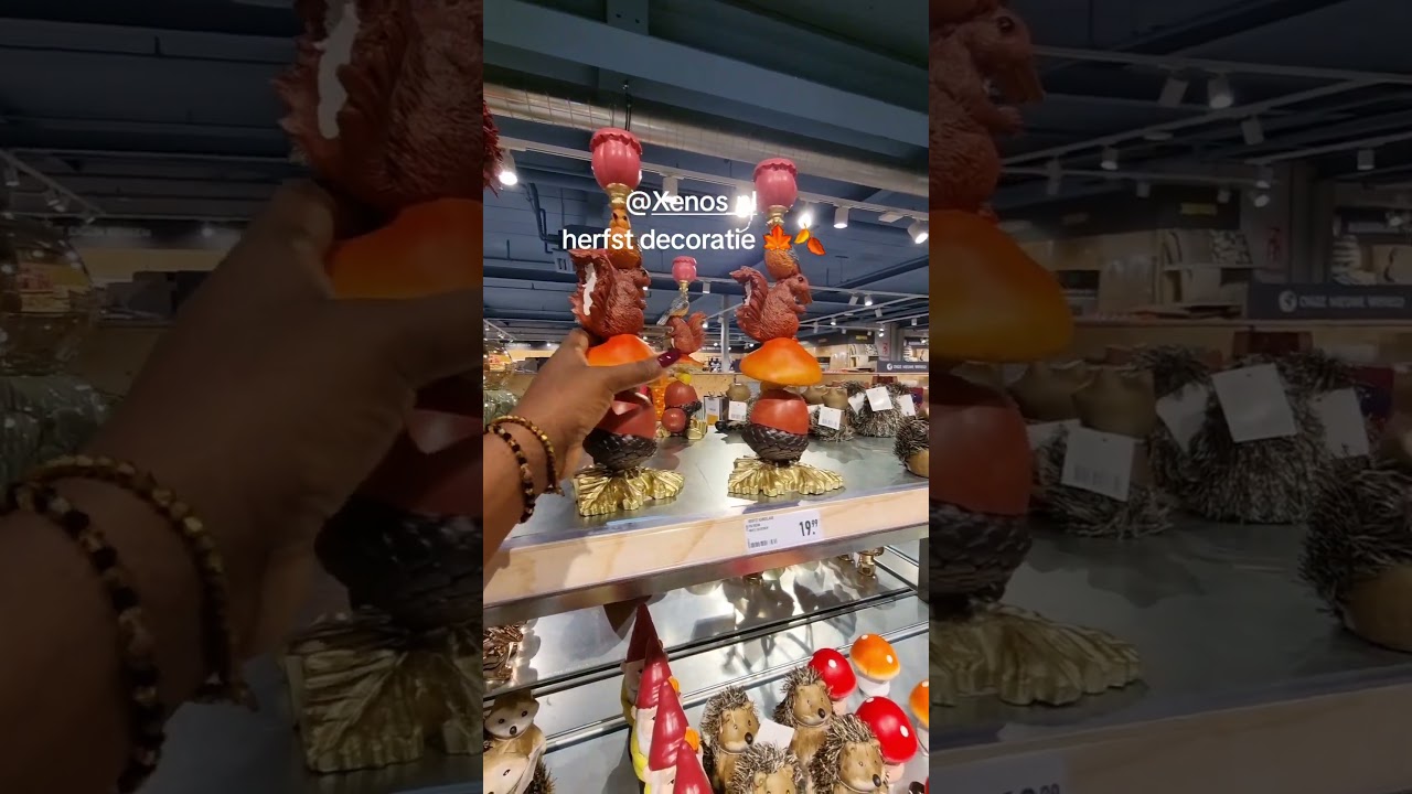 XENOS HERFST SHOPLOG 2025 #herfst #herfstdecoratie #xenos