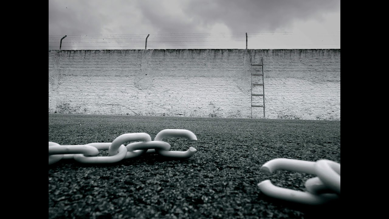 From Slavery to Freedom