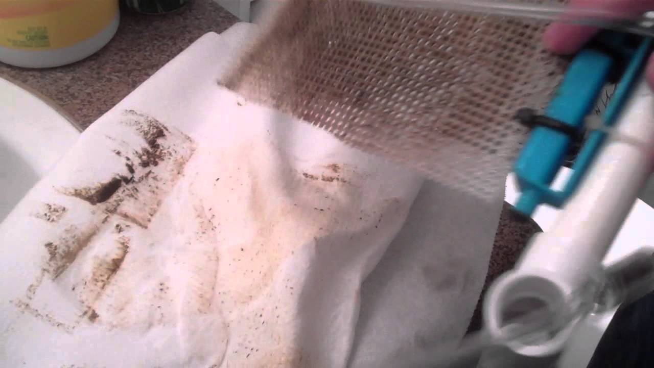 Upflow algae scrubber day 14, first cleaning