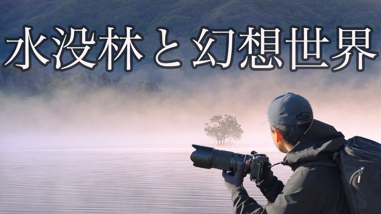 【風景写真】水没林と新緑の景色を撮影|裏磐梯| Landscape photography Vlog 4K