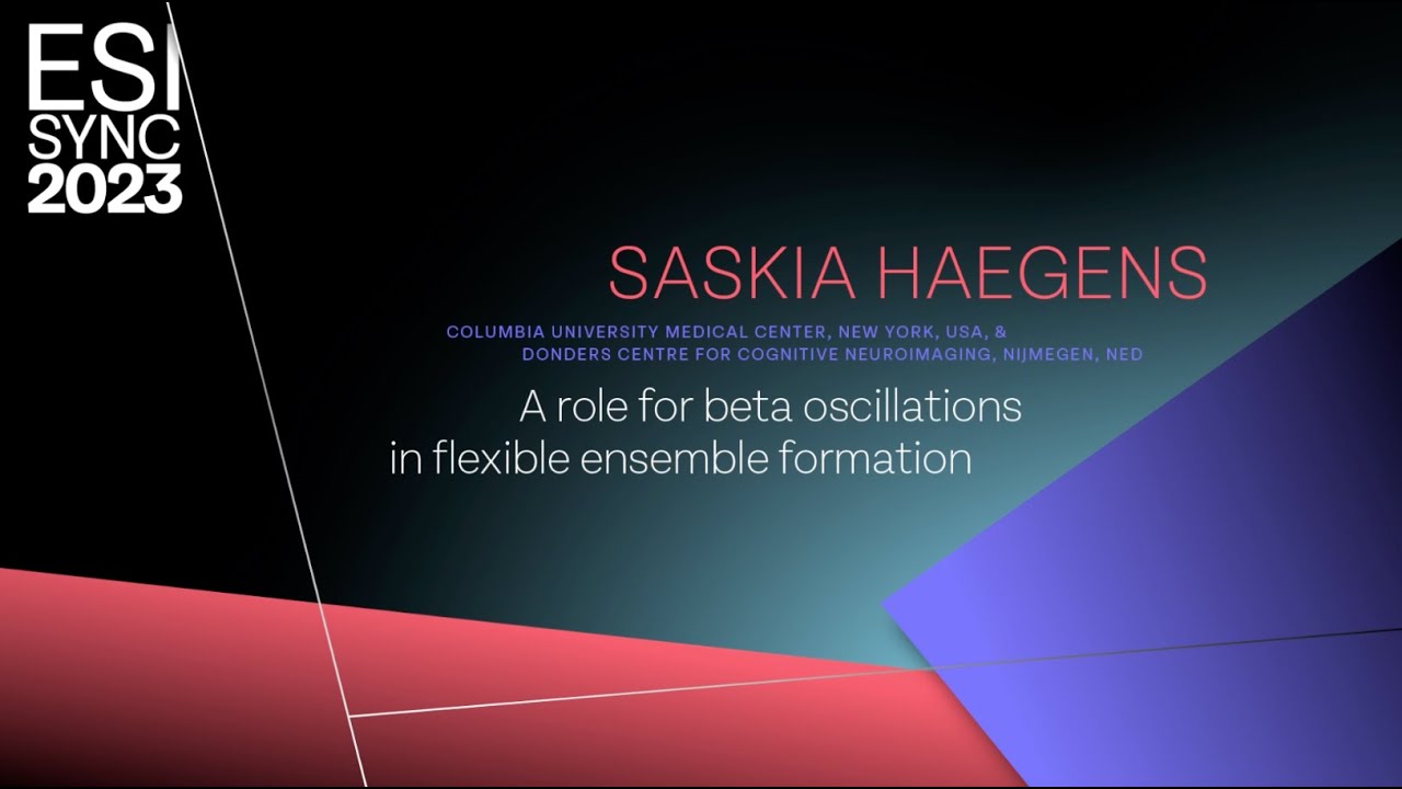 Saskia Haegens: A role for beta oscillations in flexible ensemble formation | ESI SyNC 23