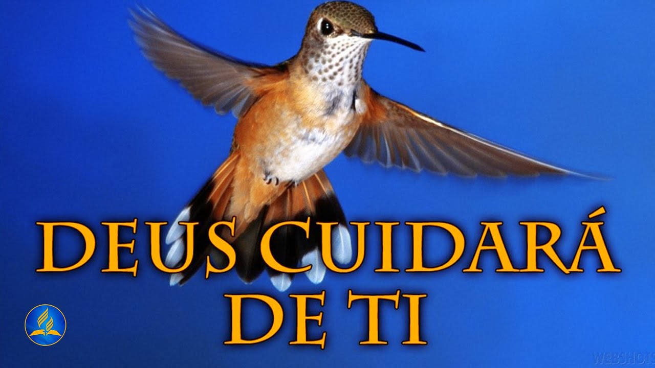 Hin&aacute;rio Adventista 373 - DEUS CUIDAR&Aacute; DE TI