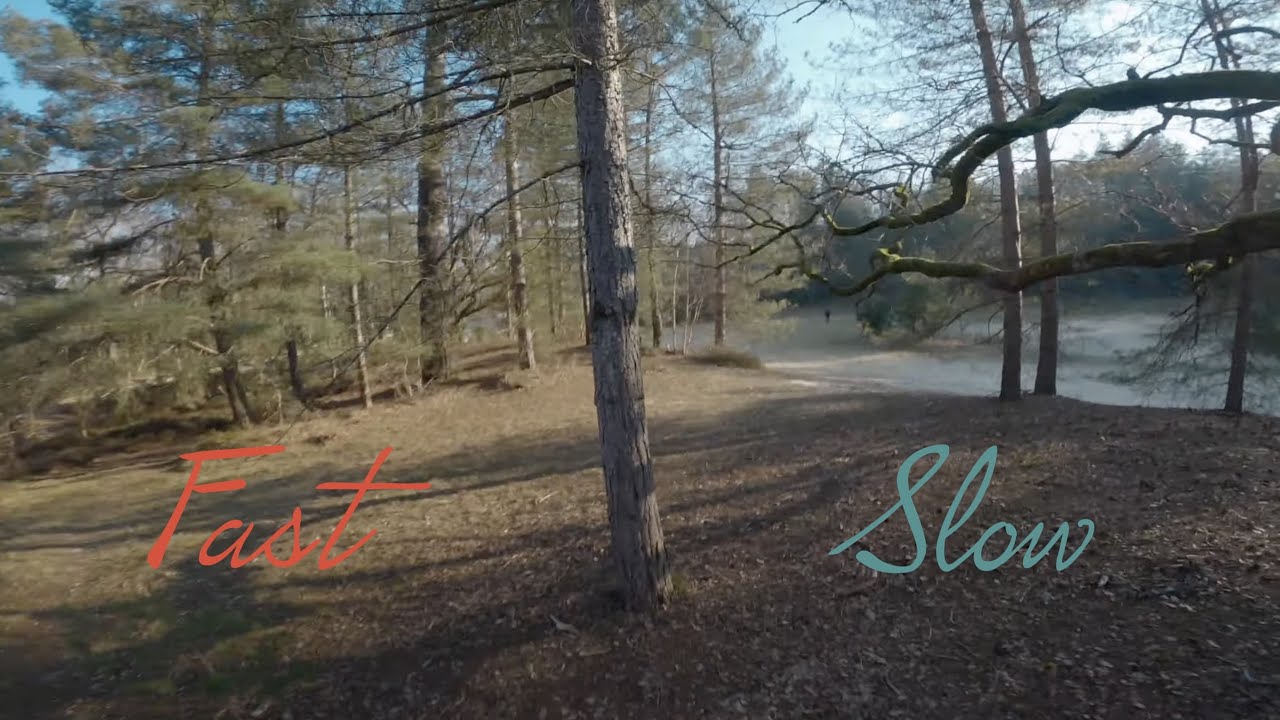 Fast & Slow : My Style