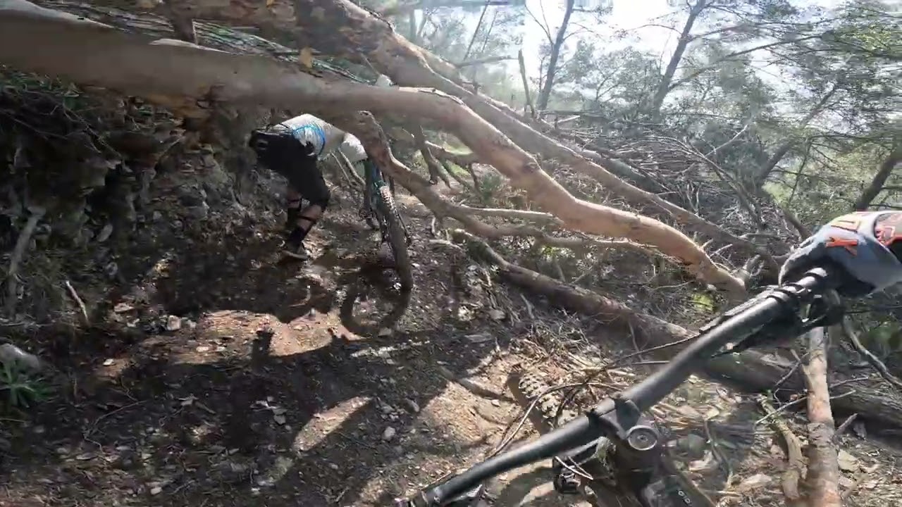 Trialera Sol naciente 