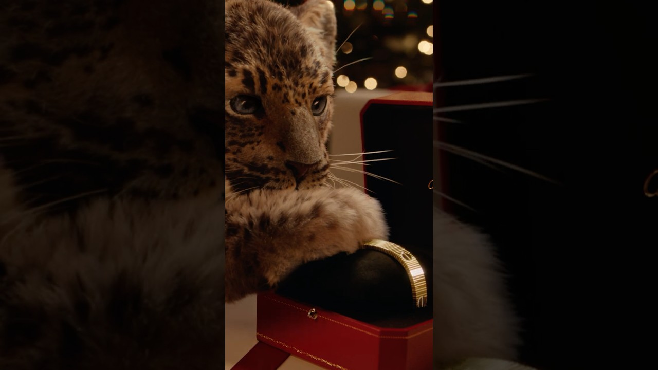 A Magical Jewelry Adventure