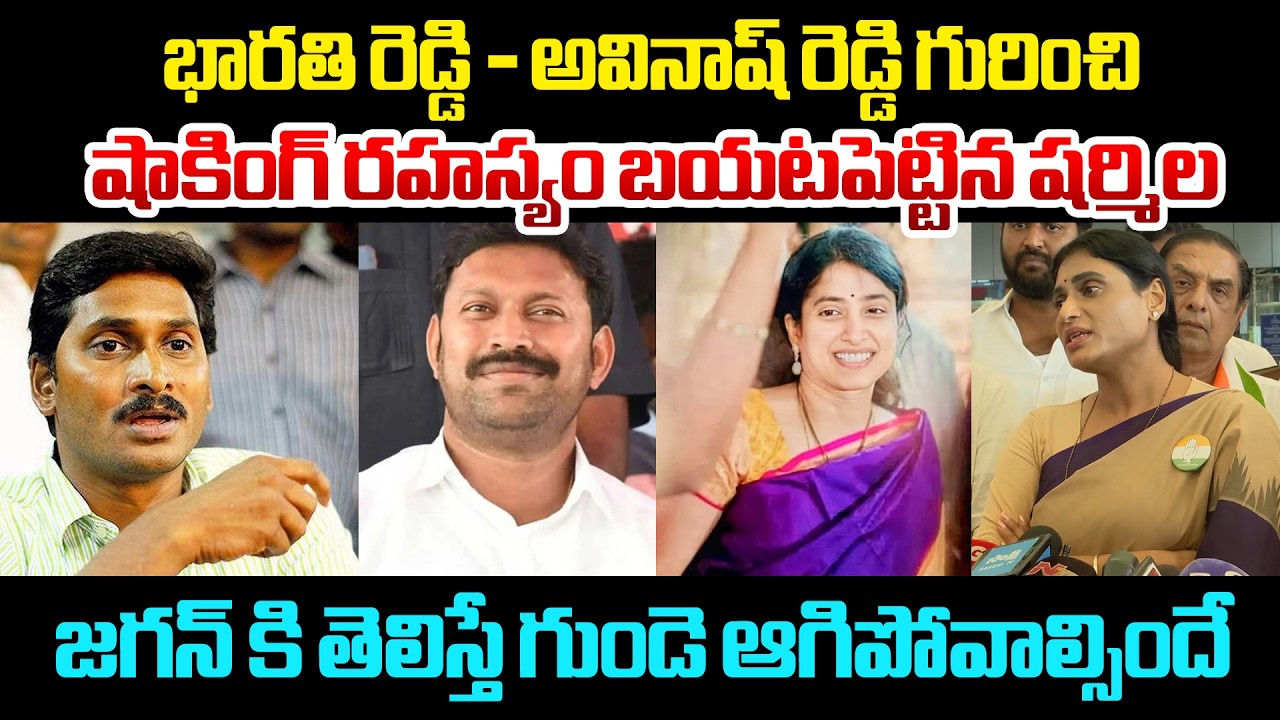 జగన్ కి తెలిస్తే గుండె ఆగిపోవాల్సిందే Sharmila Reveal Shocking Facts On Bharathi Reddy-Avinash Reddy