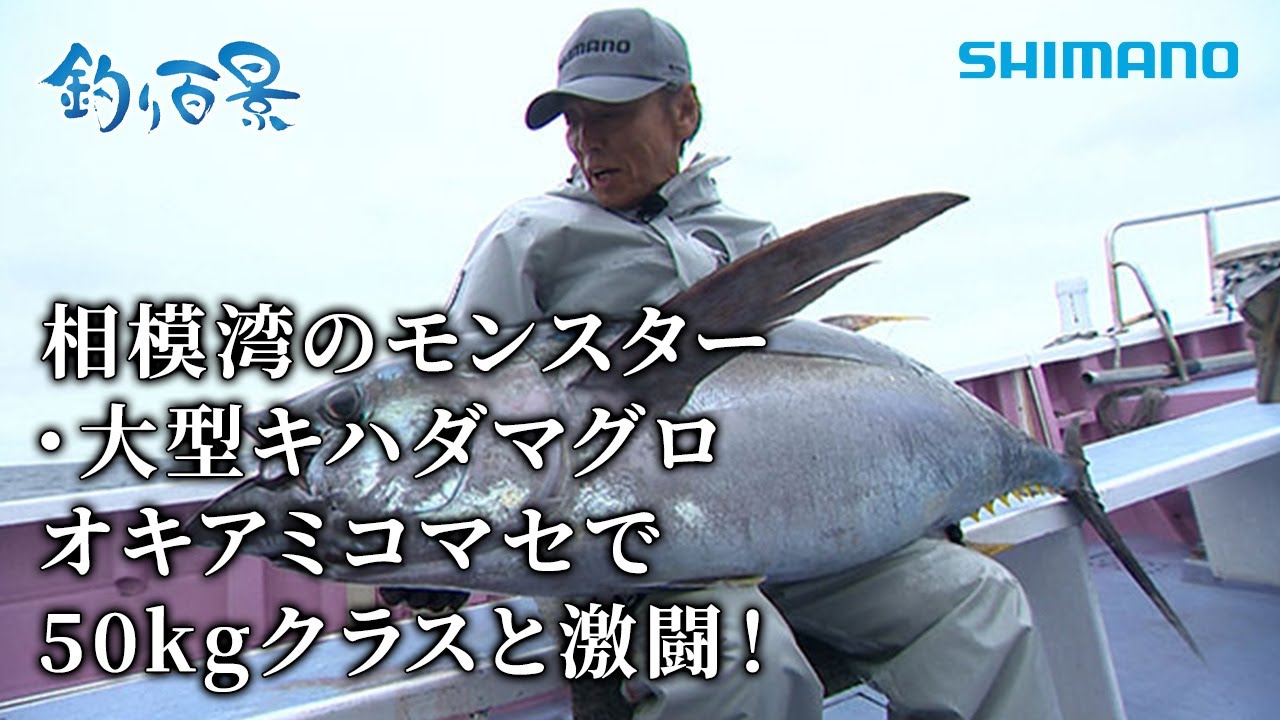 【釣り百景】#617 相模湾のモンスター・大型キハダマグロ オキアミコマセで50kgクラスと激闘！