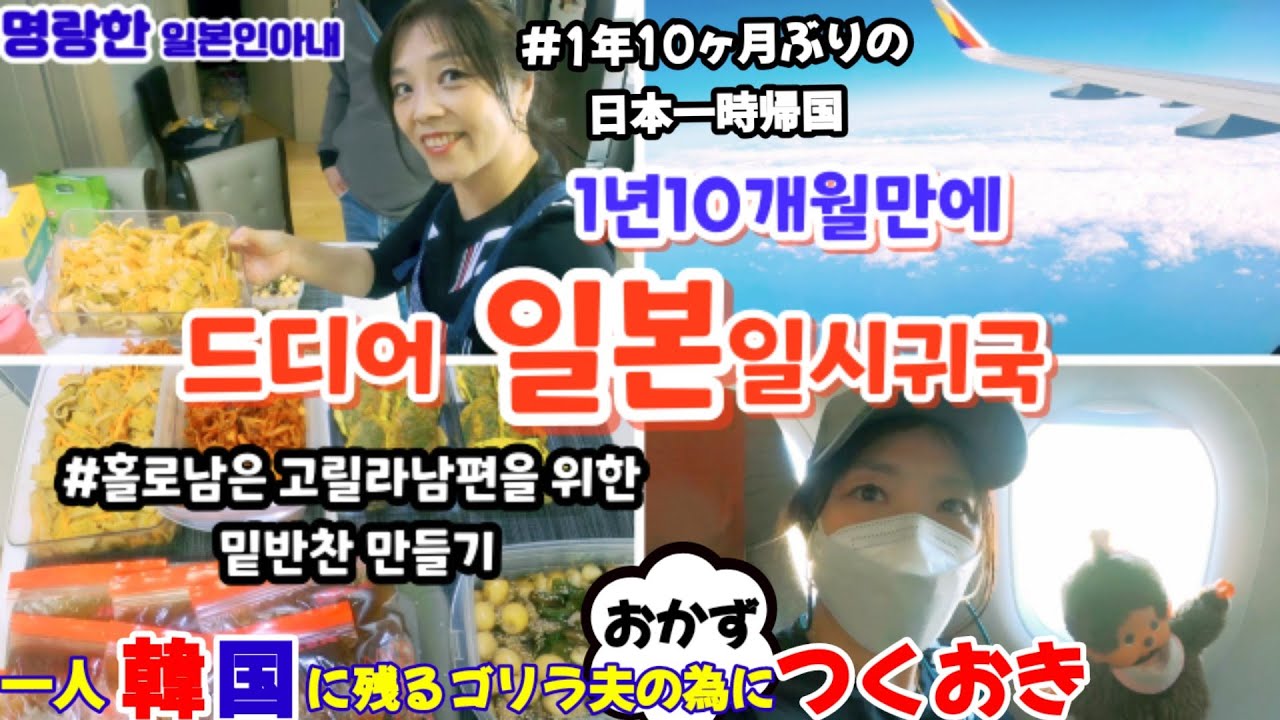 【한일부부/국제커플】1년10개월만에 드디어 일본일시귀국!!홀로남은 고릴라🦍남편을 위한 밑반찬 만들기🤗명랑한일본인아내