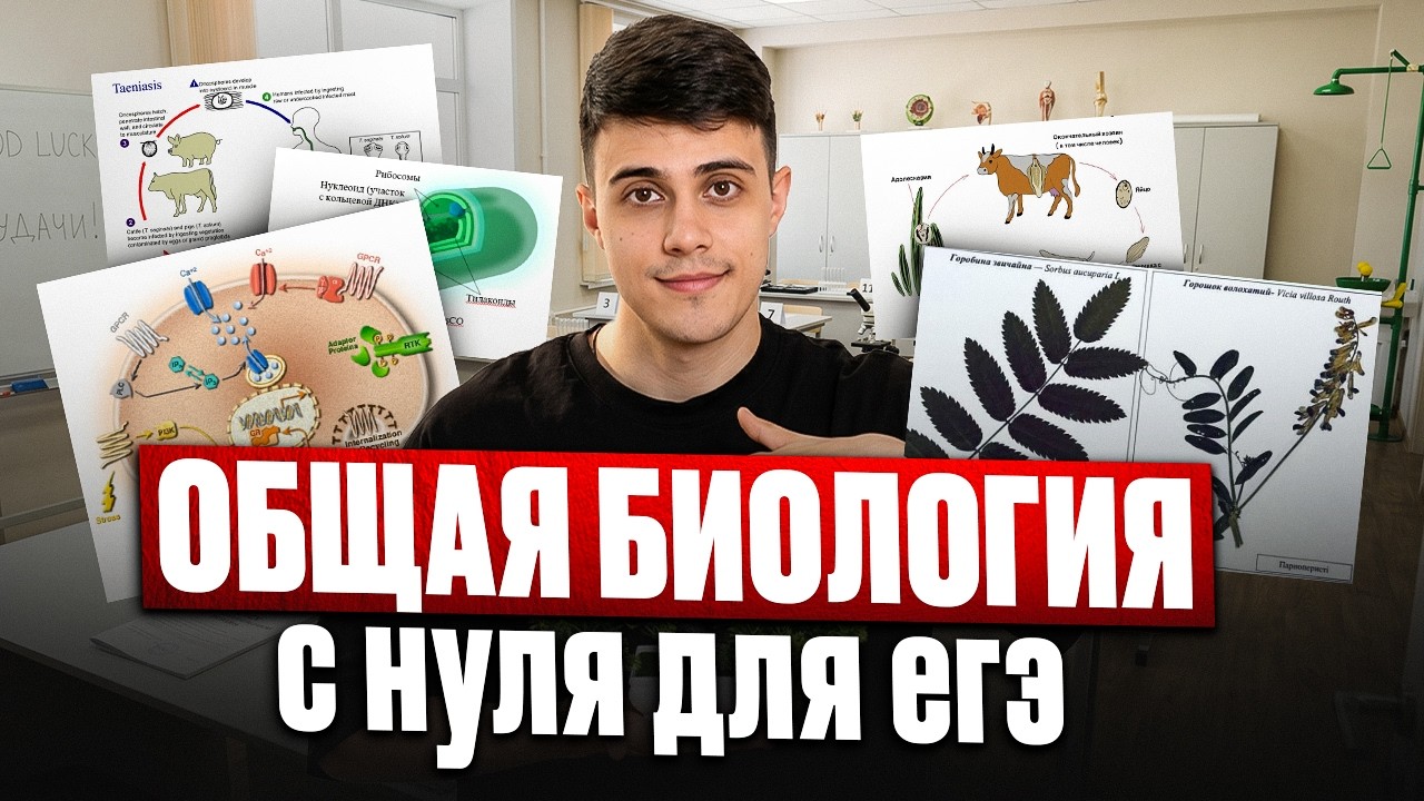 6 ЧАСОВ ВСЕЙ ОБЩЕЙ БИОЛОГИИ для ЕГЭ с НУЛЯ! ЗАБЕРИ 70+ БАЛЛОВ за 1 ВЕБ для ЕГЭ 2026