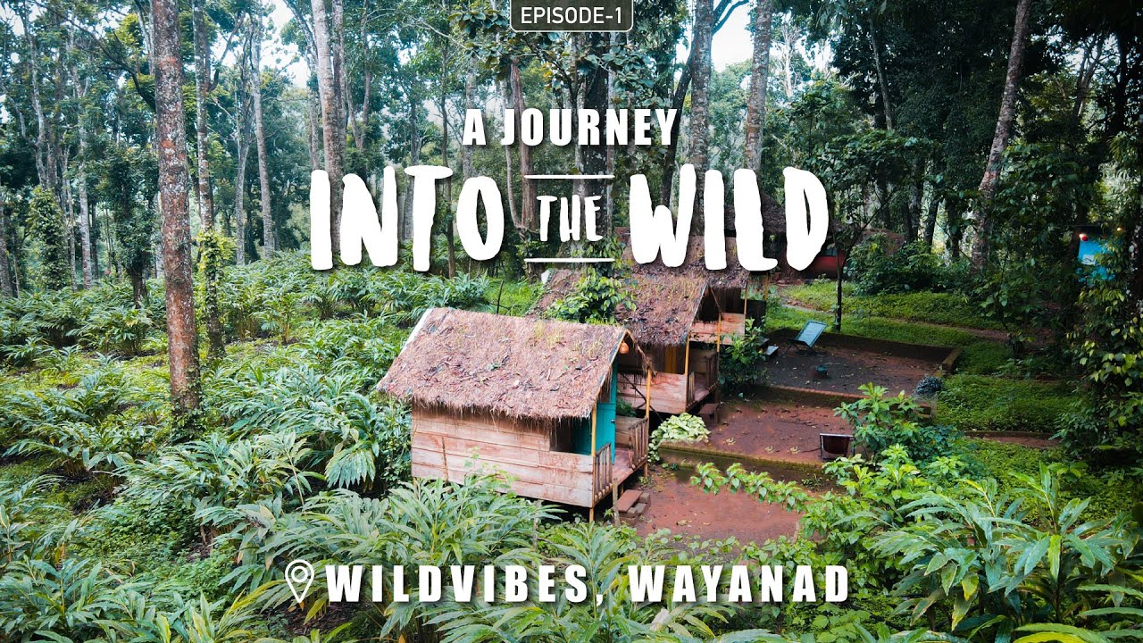 Into The Wild | Wild Vibes Wayanad | Kerala | A Stay Close To Nature | Malayalam Vlog