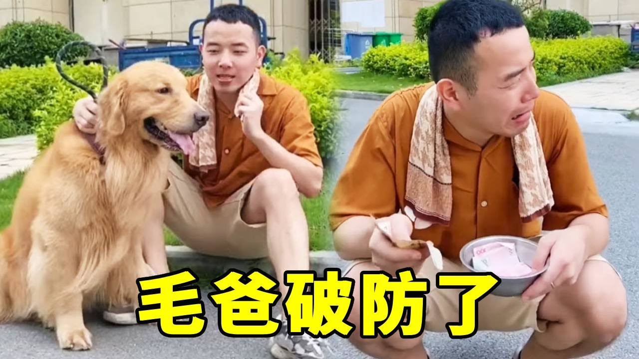 毛爸破防了，自己辛苦一天賺的錢還沒四毛