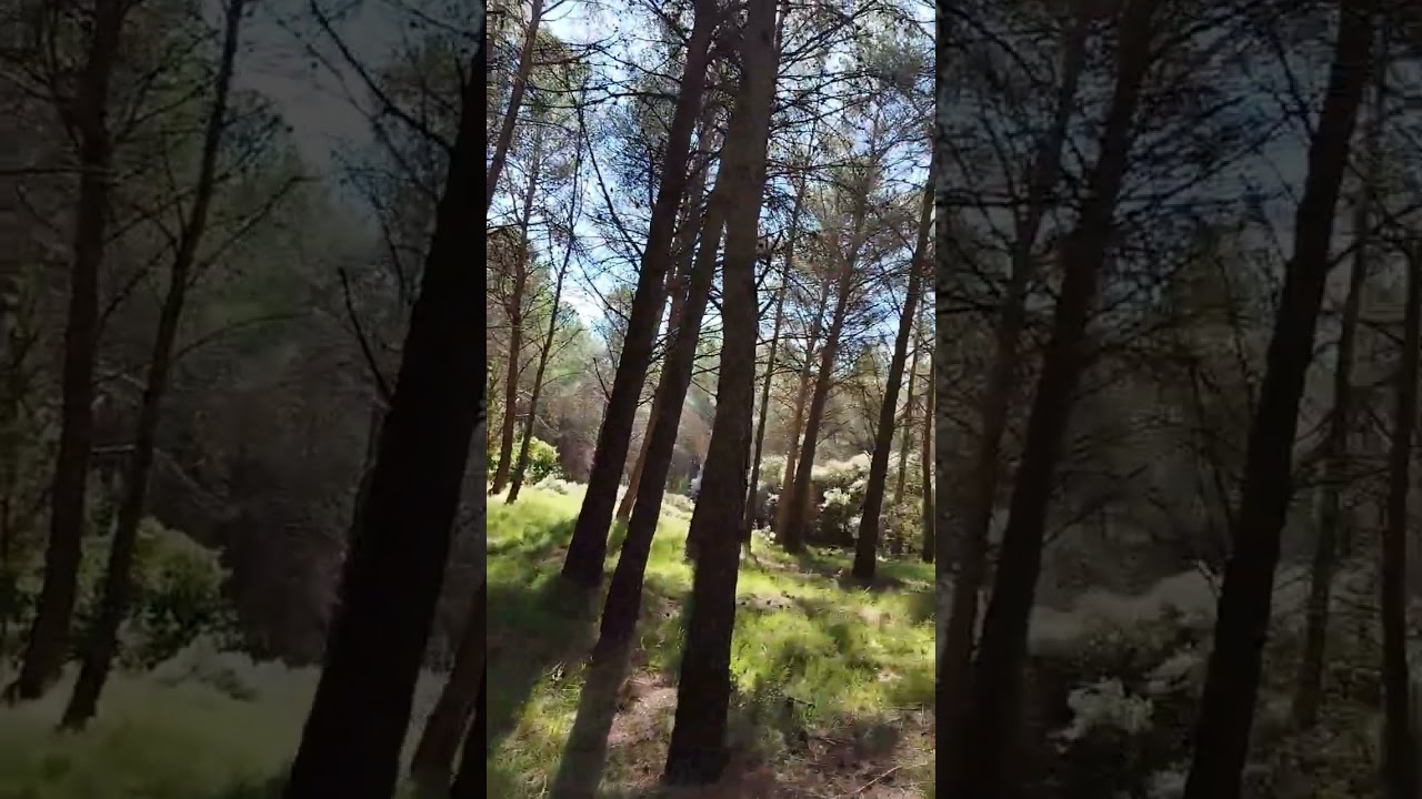 #naturaleza #revollones#relax