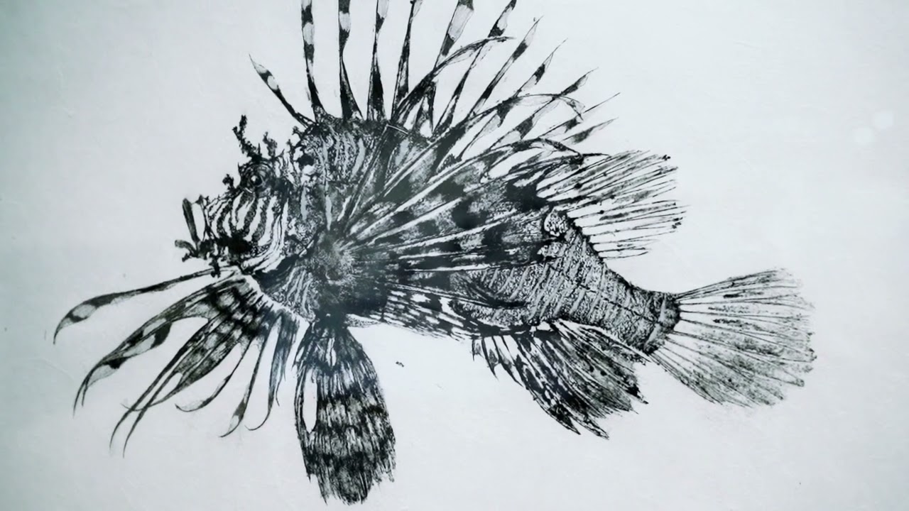 From Sea to Paper: The Gyotaku Prints of Dwight Hwang
