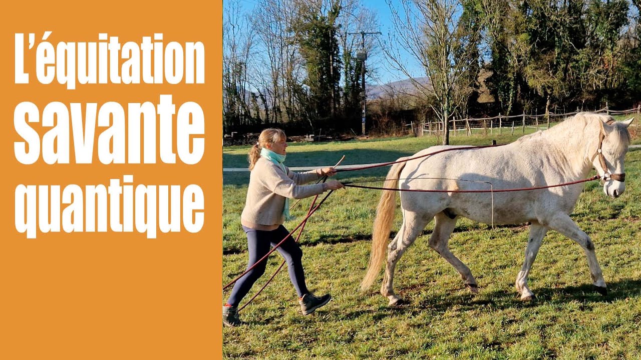 De la Haute école à l'équitation savante quantique