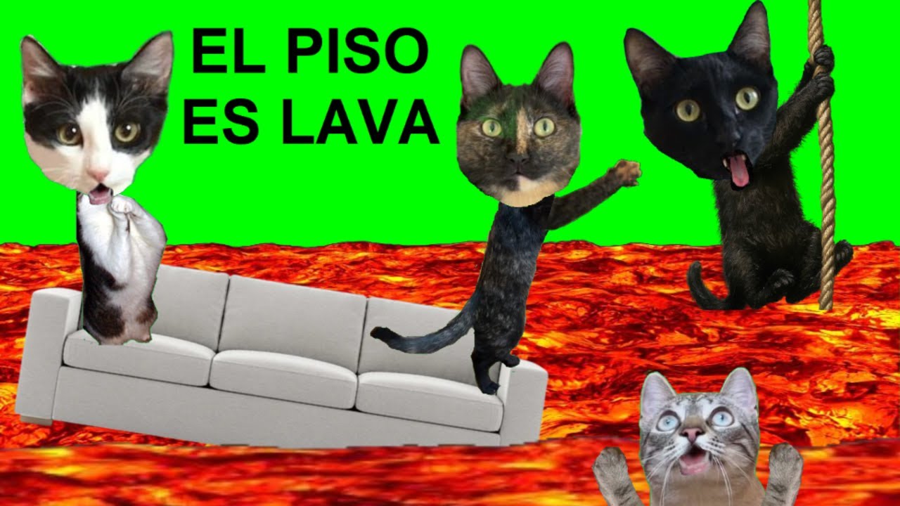 EL PISO ES LAVA PERO VS GATITOS LUNA Y ESTRELLA / Videos de juegos para gatos graciosos