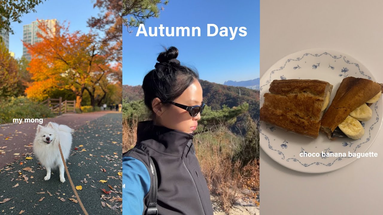 A Fall Days🍁 혼자 등산·교보문고, 스포티파이 팝업 + 요즘 많이 보이는 초코바게트도 만들어먹는 🥖 브이로그